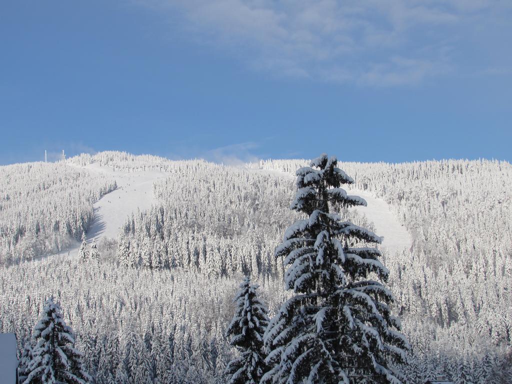 Penzion Brnenka Špindlerŭv Mlýn Exteriér fotografie
